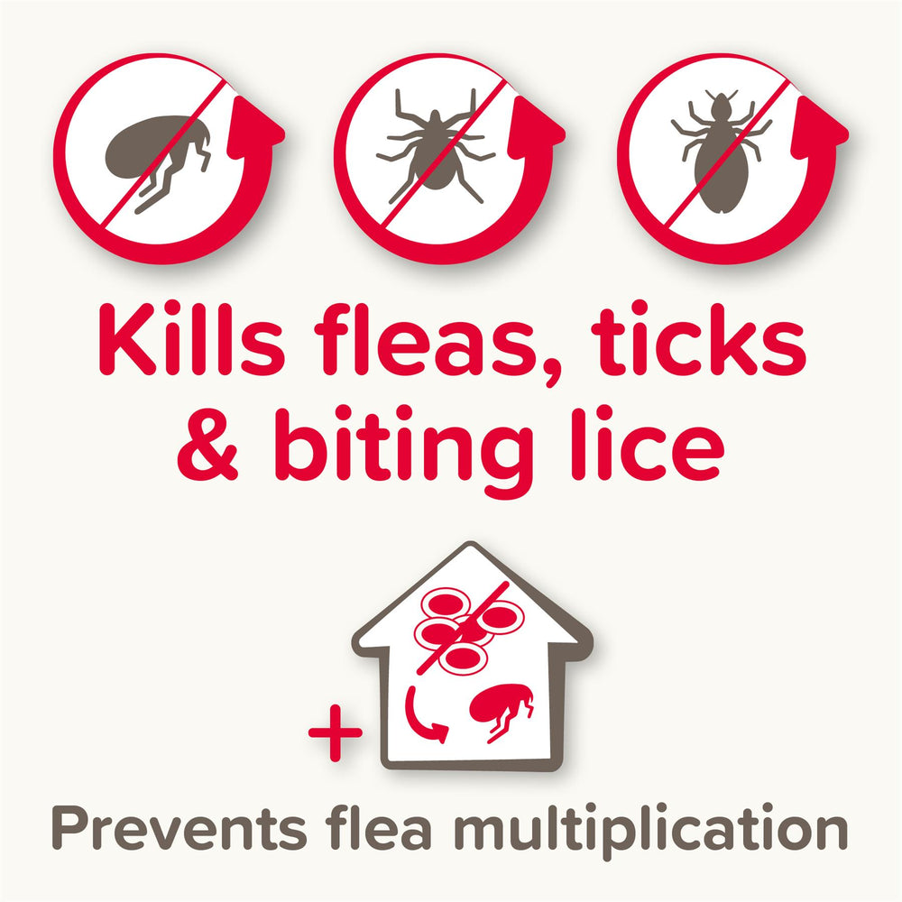 Beaphar FIPROtec COMBO Flea & Tick Spot-On for Small Dogs