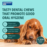 Virbac Veggiedent FR3SH Dental Chews for Dog Helps Clean Teeth & Freshen Breath, 15