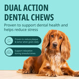 Virbac Veggiedent Zen 15 Dental Oral Care Dog Chews + Calming Anxiety Relief XS S M L