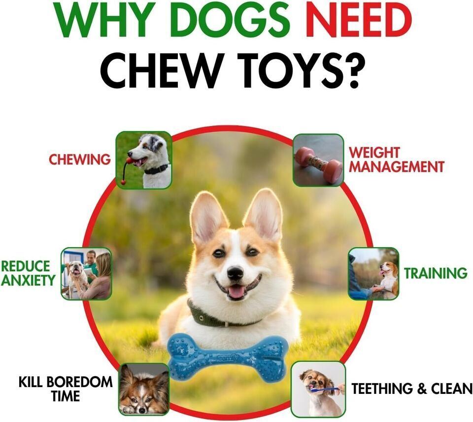 Extreme Dog Toy Classic Robust Tough &Natural Rubber Toys For Aggressive Chewers