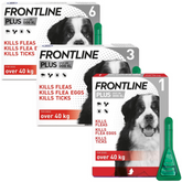 FRONTLINE Plus Flea & Tick Treatment X Large Dog (40+ kg) 1, 3, 6 Pipette Packs