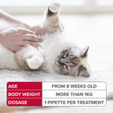 Beaphar FIPROtec Spot-On Flea & Tick Treatment for Cats, 1, 4, 6 Pipettes