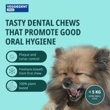 Virbac Veggiedent FR3SH Dental Chews for Dog Helps Clean Teeth & Freshen Breath, 15