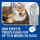 Effipro Spot On Flea Treatment AVM-GSL For Pets Cats & Dogs 4 Pipettes With Fipronil