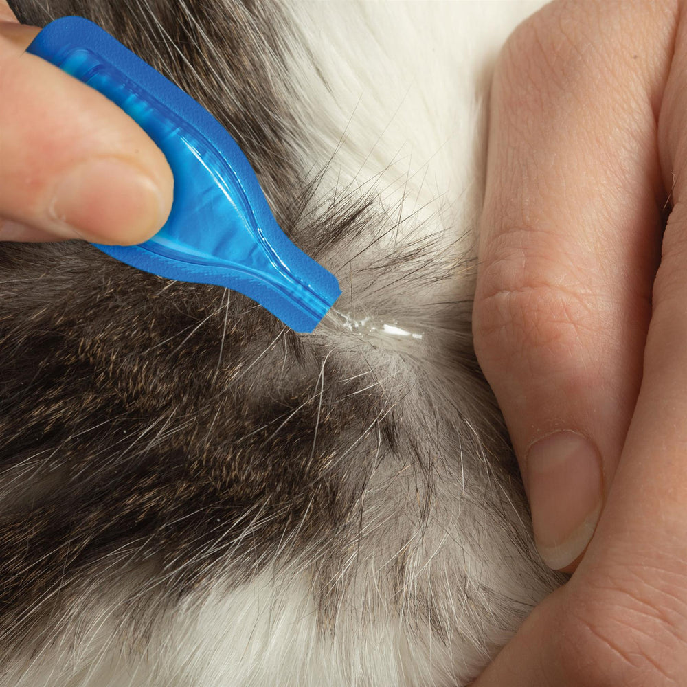 Beaphar FIPROtec Spot-On Flea & Tick Treatment for Cats, 1, 4, 6 Pipettes