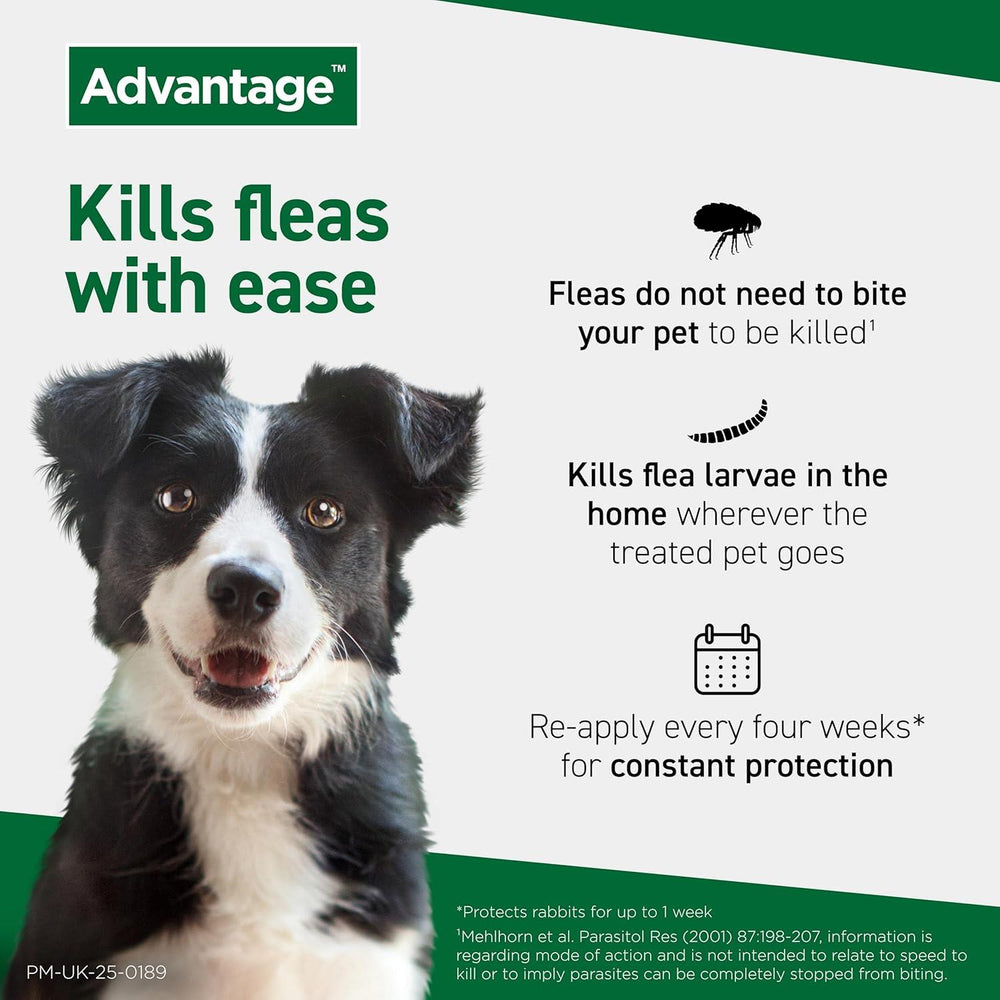 Advantage Spot On Flea Treatment for Cats, Dogs and Rabbits, 4 Pipettes