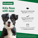 Advantage Spot On Flea Treatment for Cats, Dogs and Rabbits, 4 Pipettes