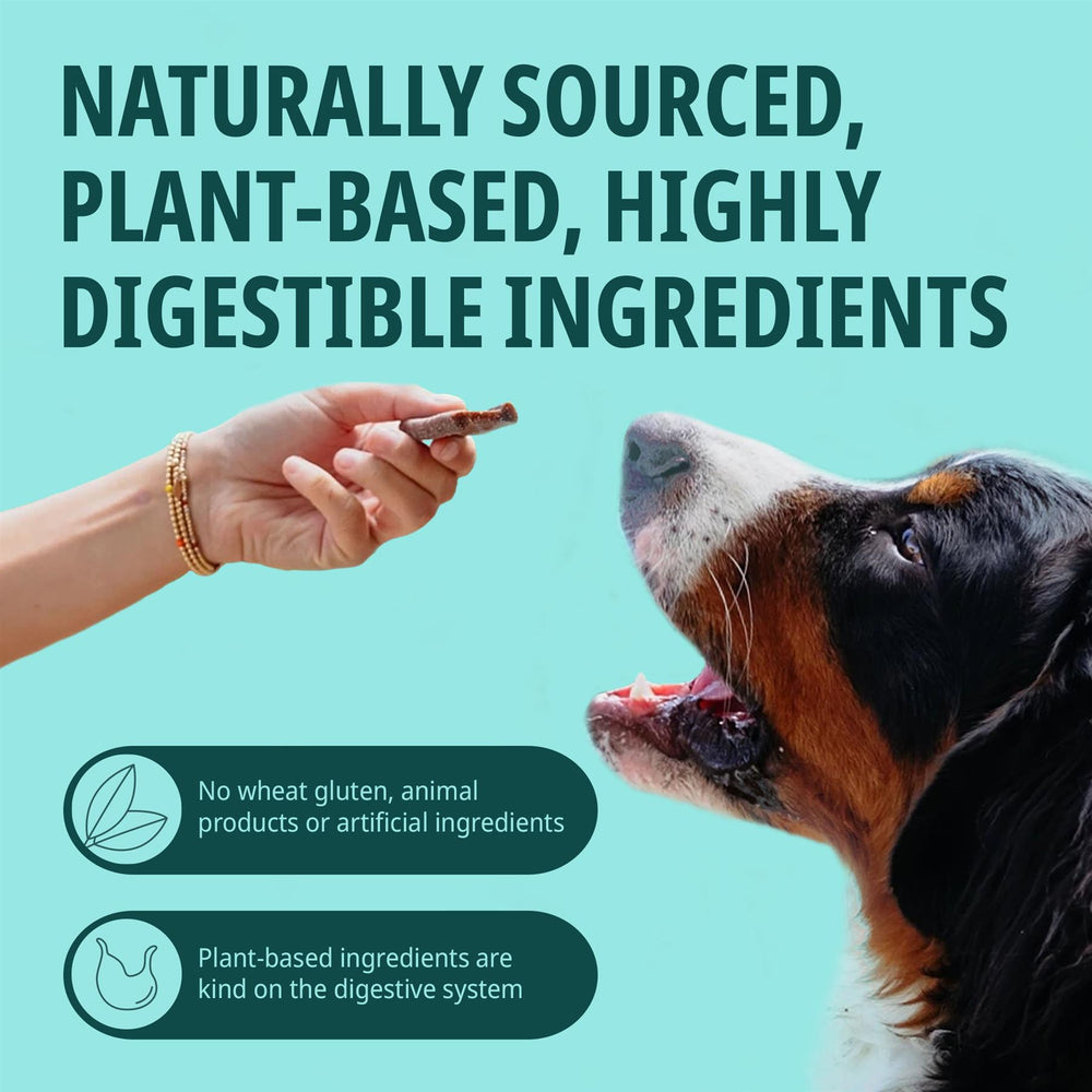 Virbac Veggiedent FR3SH Dental Chews for Dog Helps Clean Teeth & Freshen Breath, 15