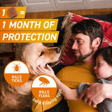 FRONTPRO Flea and Tick Chewable Tablets for Dogs Fast-Acting For S/M/L/XL Dogs 3 Pack