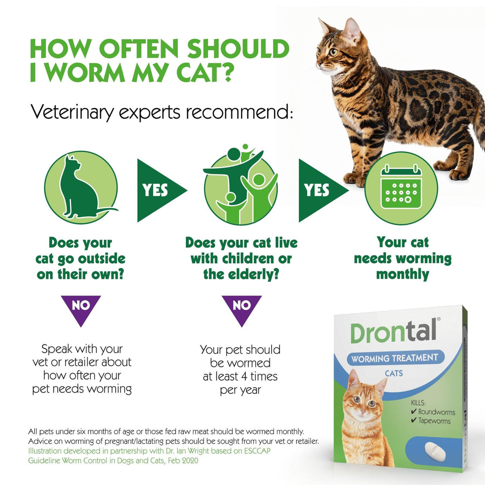 Drontal Wormer tablets for Small and Medium Cats (Under 4kg)