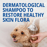 Pyoderm Dermatological Shampoo 250ML for Skin with Microbial Imbalance for Dogs and