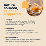 Seraquin Joint Supplement Chewable Tablets for Cats & Dogs 60 Tablets UK