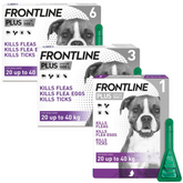 FRONTLINE Plus Flea & Tick Treatment Large Dog (20-40kg) 1, 3, 6 Pipettes Pack