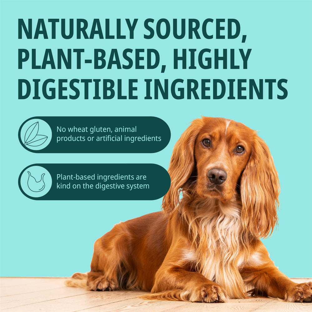 Virbac Veggiedent FR3SH Dental Chews for Dog Helps Clean Teeth & Freshen Breath, 15