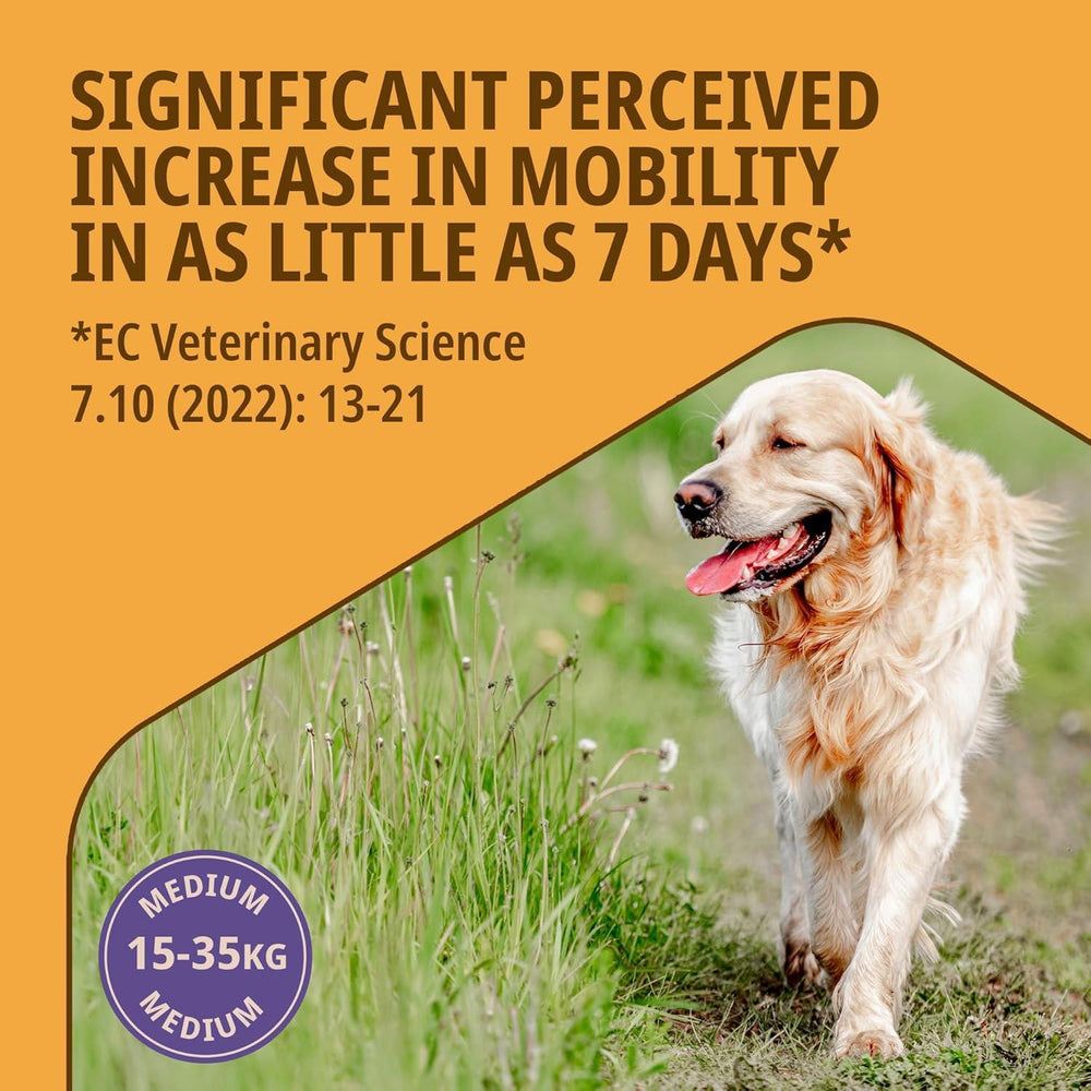 Virbac Movoflex Supplement for Medium Dogs 15-35kg Support Joints & Mobility x30