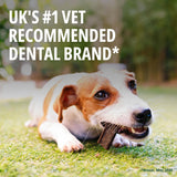 Virbac Veggiedent FR3SH Dental Chews for Dog Helps Clean Teeth & Freshen Breath, 15