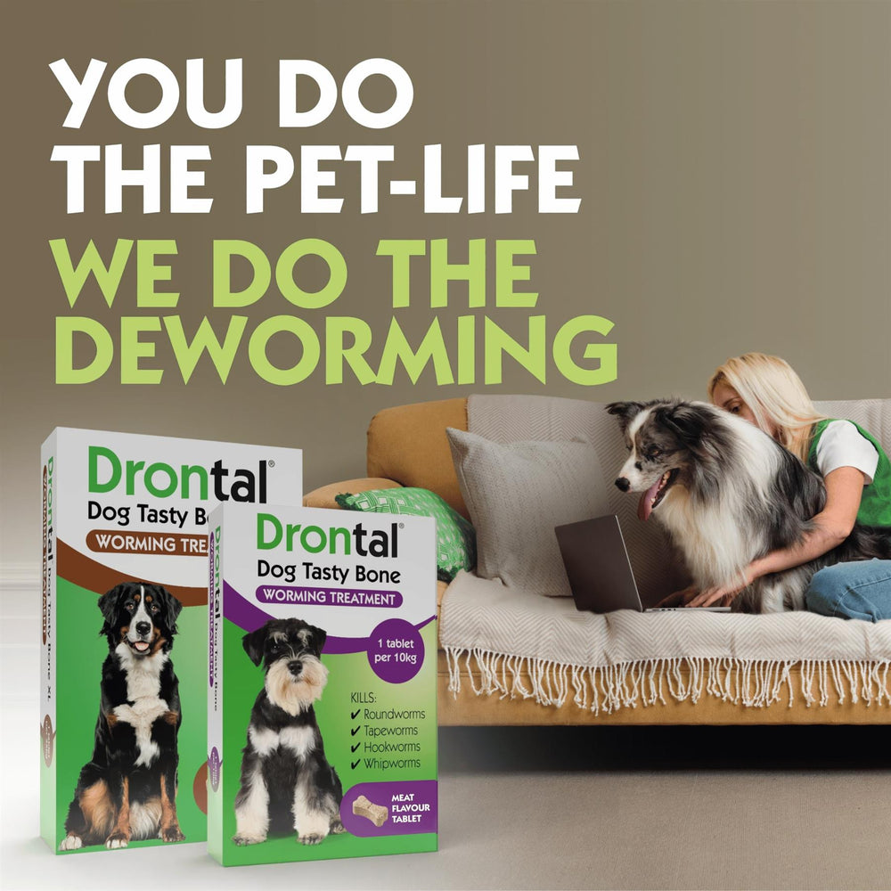 Drontal Tasty Bone XL Wormer Tablets for Large Dogs (Over 20kg)