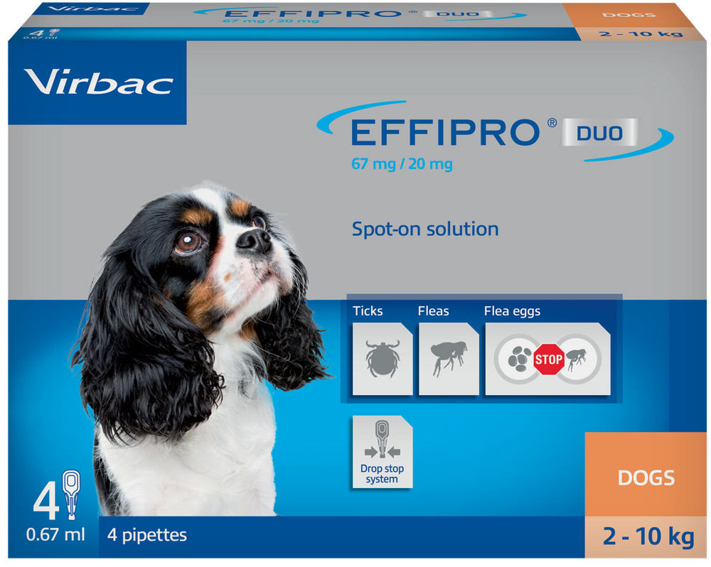 Effipro Duo Spot on Solutions For Cat S/M/L/XL Dog 4 Pipettes per Pack