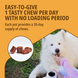 Movoflex Cat & Dog Joint & Mobility Support Supplement Highly Palatable Soft Chews x30