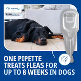 Effipro Spot On Flea Treatment AVM-GSL For Pets Cats & Dogs 4 Pipettes With Fipronil