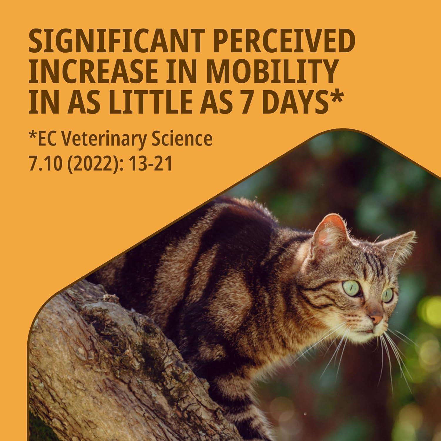 Movoflex Cat Joint & Mobility Support Supplement Highly Palatable Soft Chews x30