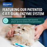 Virbac Dog Toothpaste Enzymatic Dental Care for Cats & Dogs 70g Poultry Flavour
