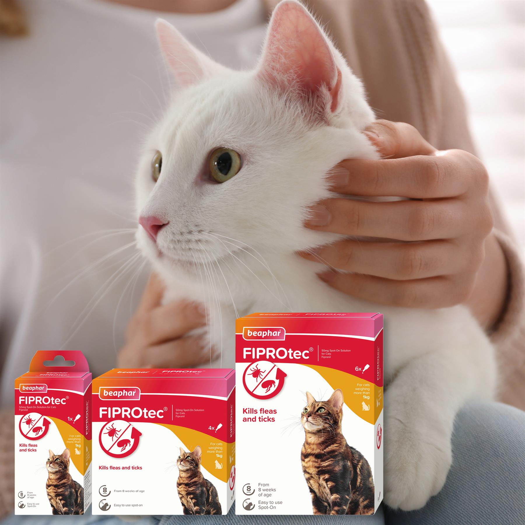 Beaphar FIPROtec Spot-On Flea & Tick Treatment for Cats, 1, 4, 6 Pipettes