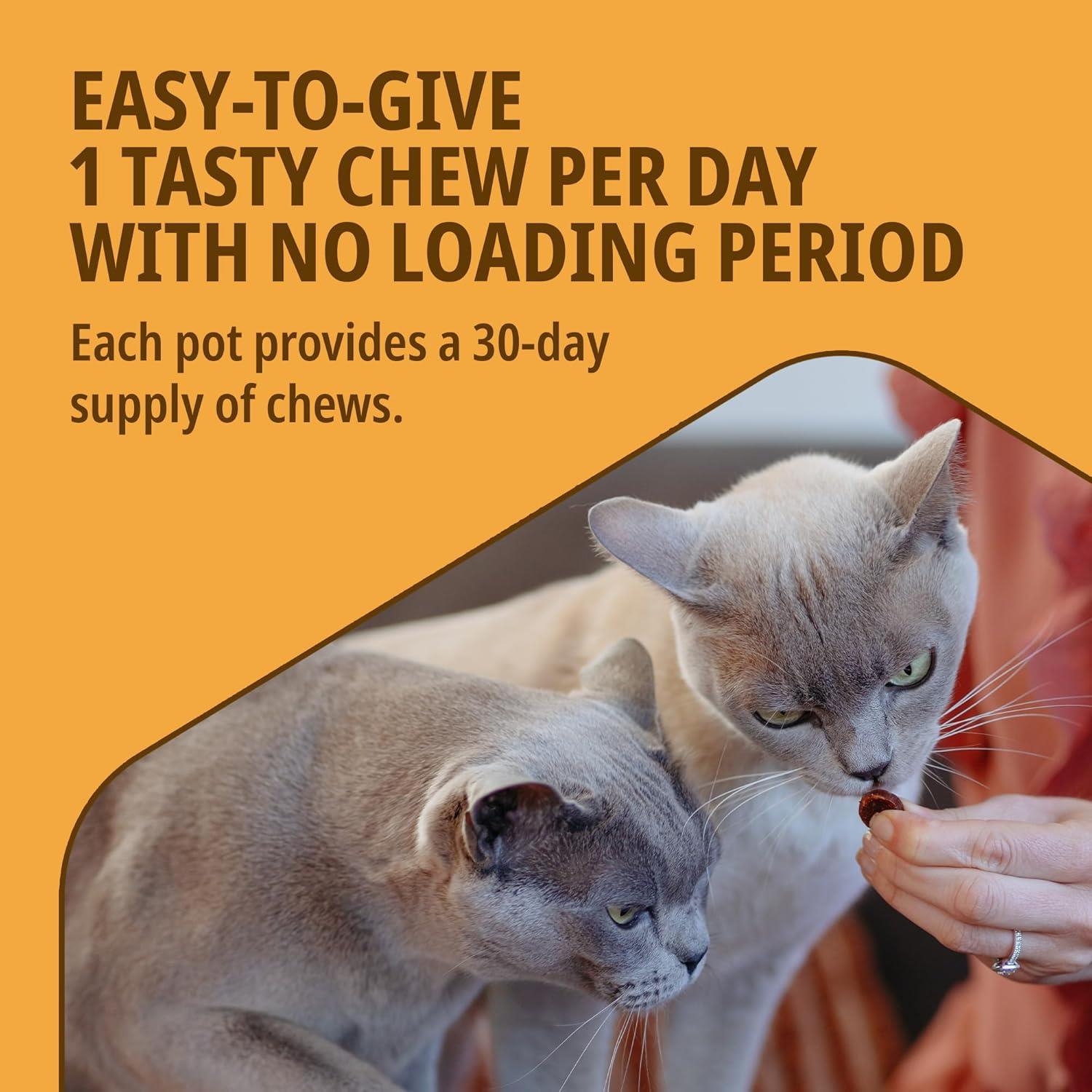 Movoflex Cat Joint & Mobility Support Supplement Highly Palatable Soft Chews x30