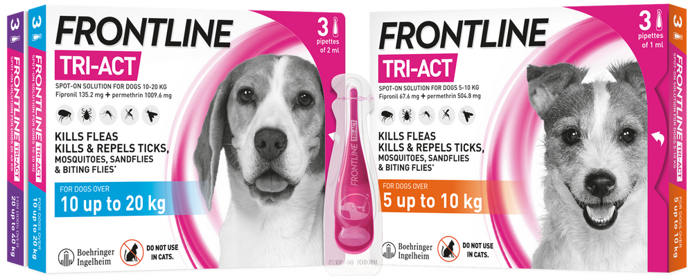 Frontline Tri-Act Spot On Flea and Tick Treatment For Small Medium and Large Dogs 3