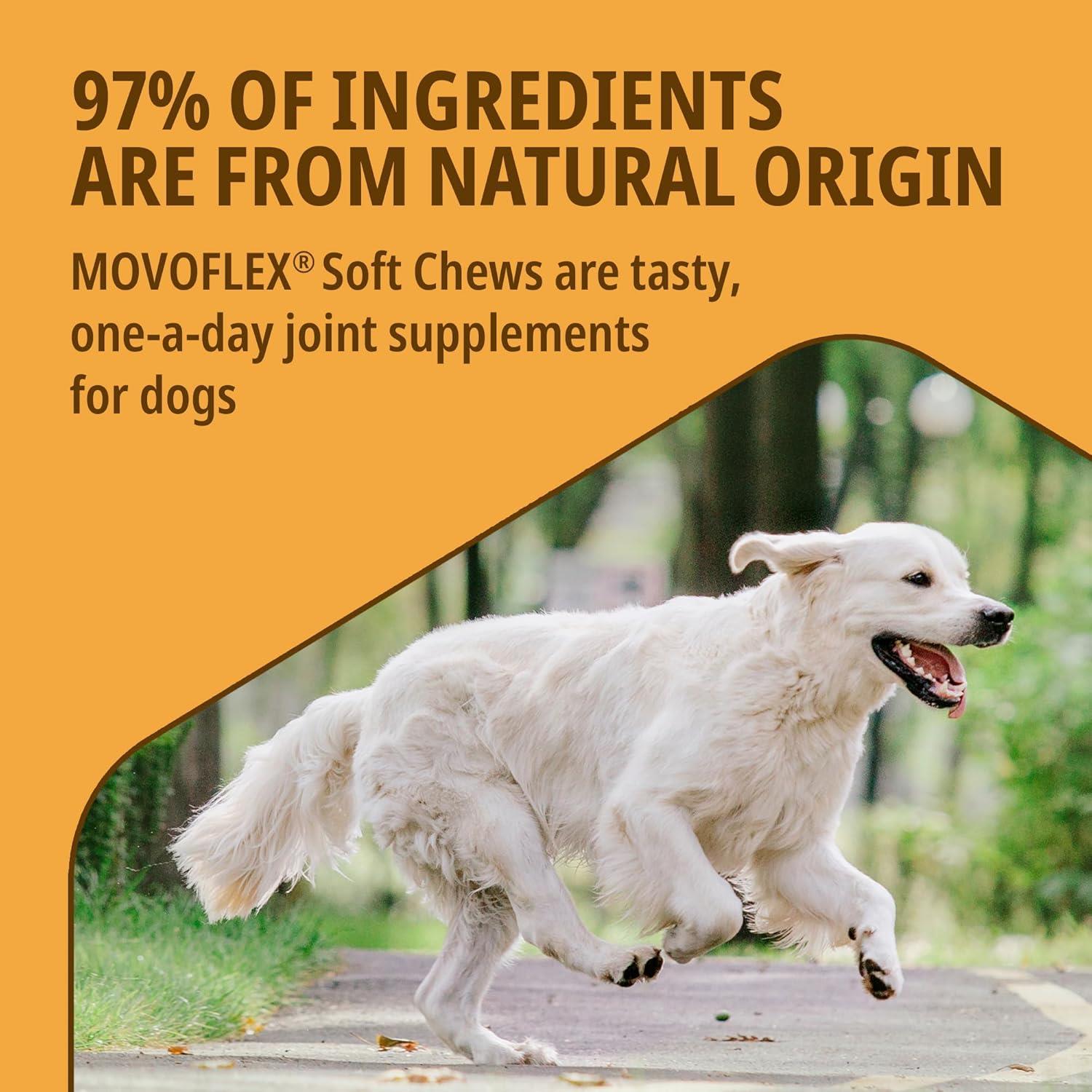 Virbac Movoflex Joints & Mobility Supplement for Large Dogs >35Kg x30