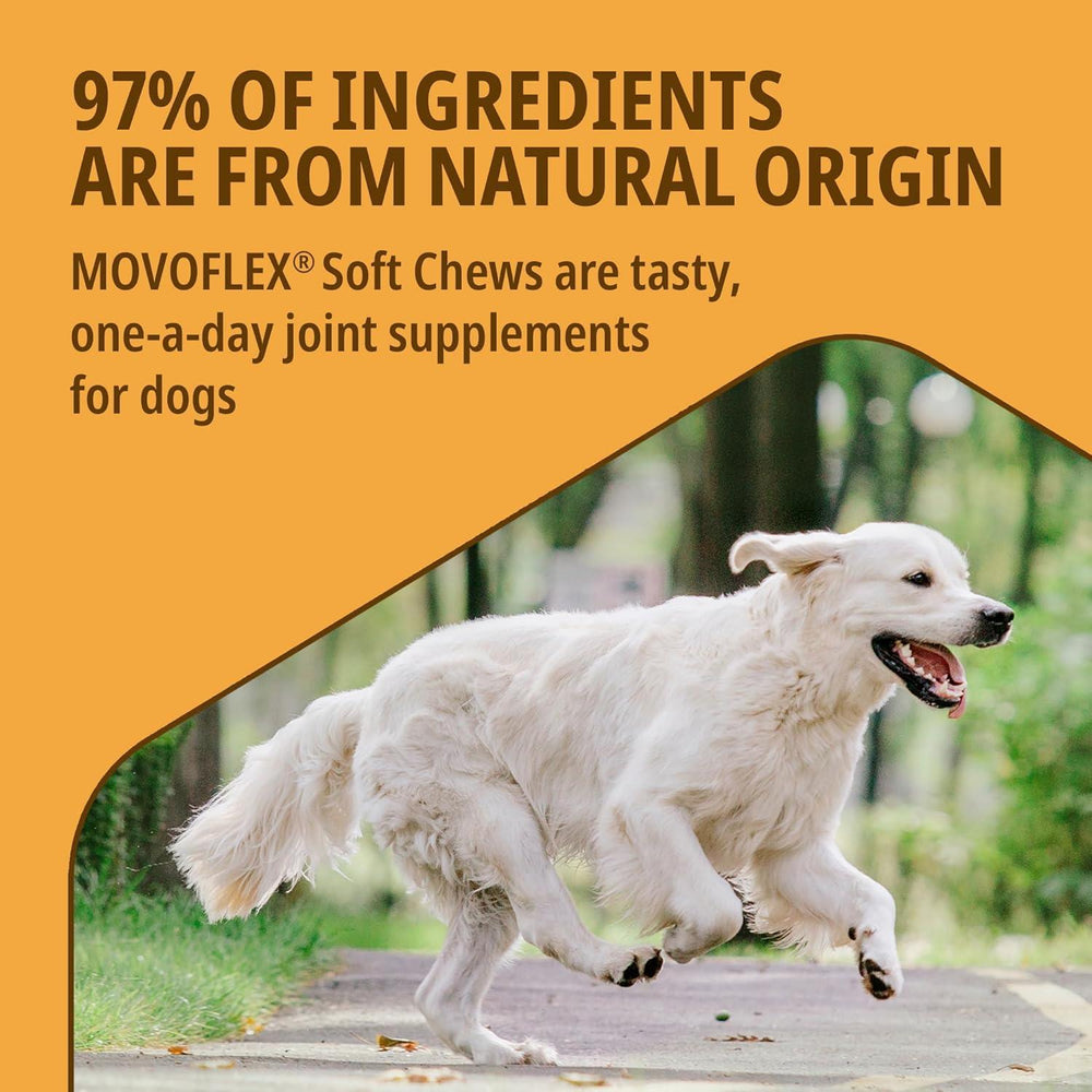Movoflex Cat & Dog Joint & Mobility Support Supplement Highly Palatable Soft Chews x30