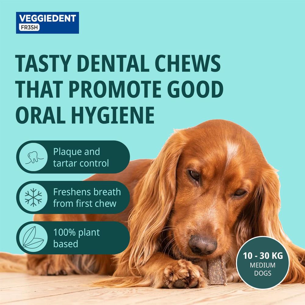Virbac Veggiedent FR3SH Dental Chews for Dog Helps Clean Teeth & Freshen Breath, 15