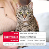 Beaphar FIPROtec COMBO Dog/Cat Flea and Tick Treatment Spot On Solution Effectiv