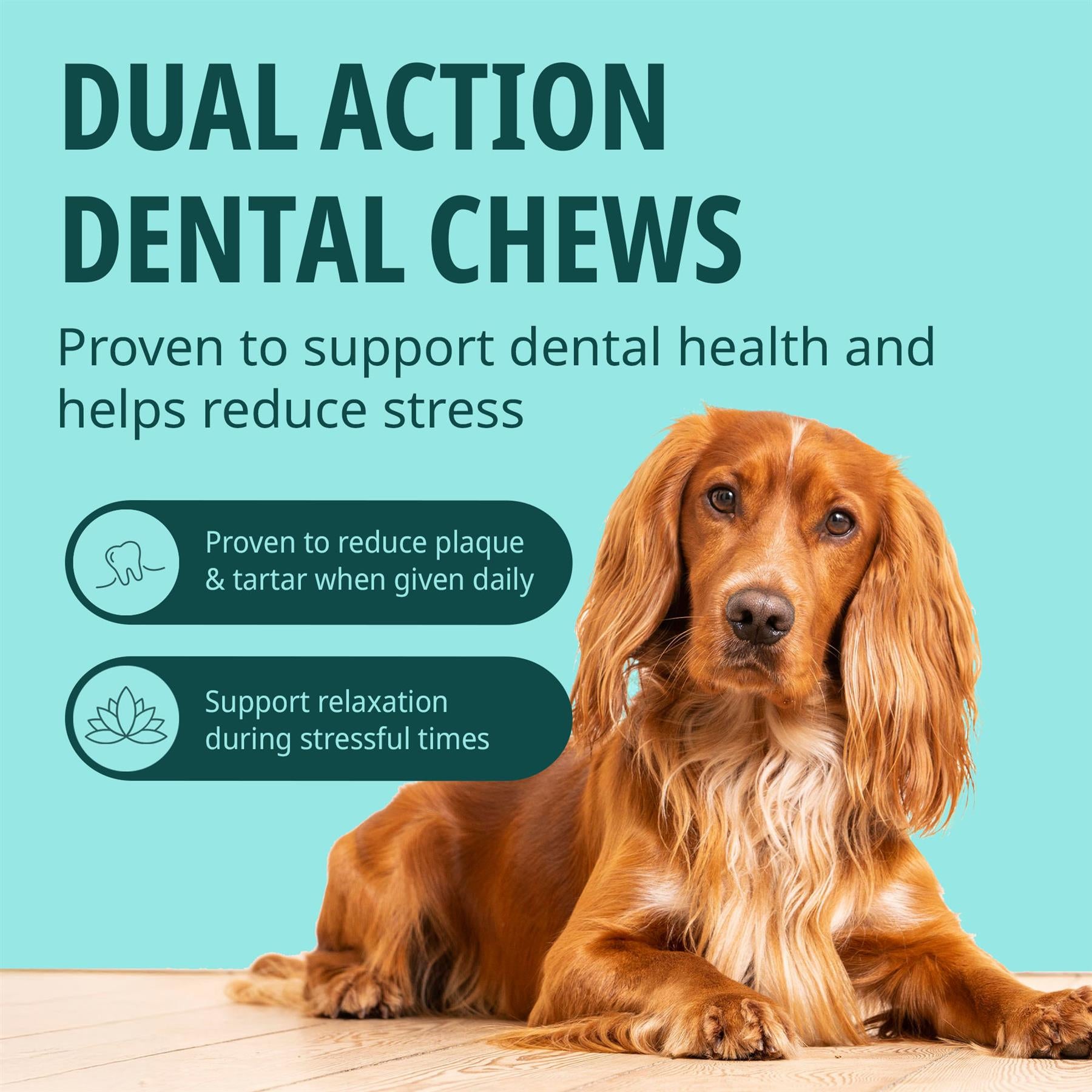 Virbac Veggiedent Zen 15 Dental Oral Care Dog Chews + Calming Anxiety Relief XS S M L