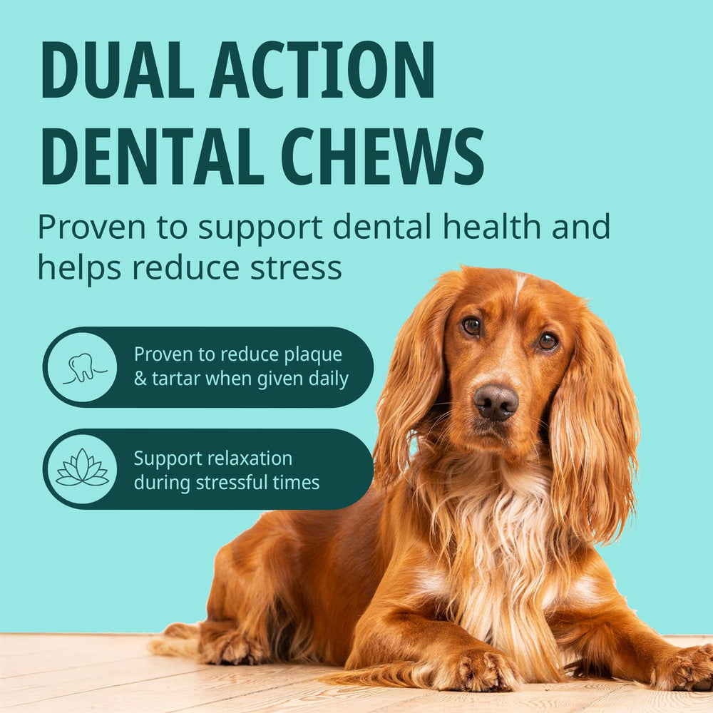 Virbac Veggiedent Zen 15 Dental Oral Care Dog Chews + Calming Anxiety Relief XS S M L