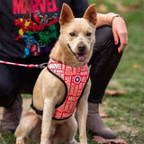 Cerda Marvel S-M Dog Harness - Official Marvel