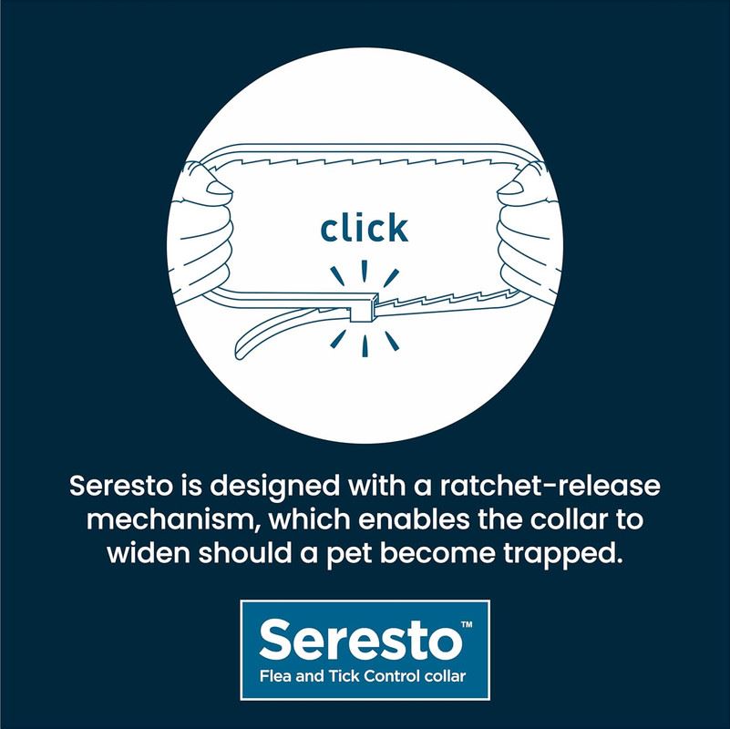 Seresto Cat Dog Flea Collar With Tick Control Adjustable 8 Month Protection, 1 Collar