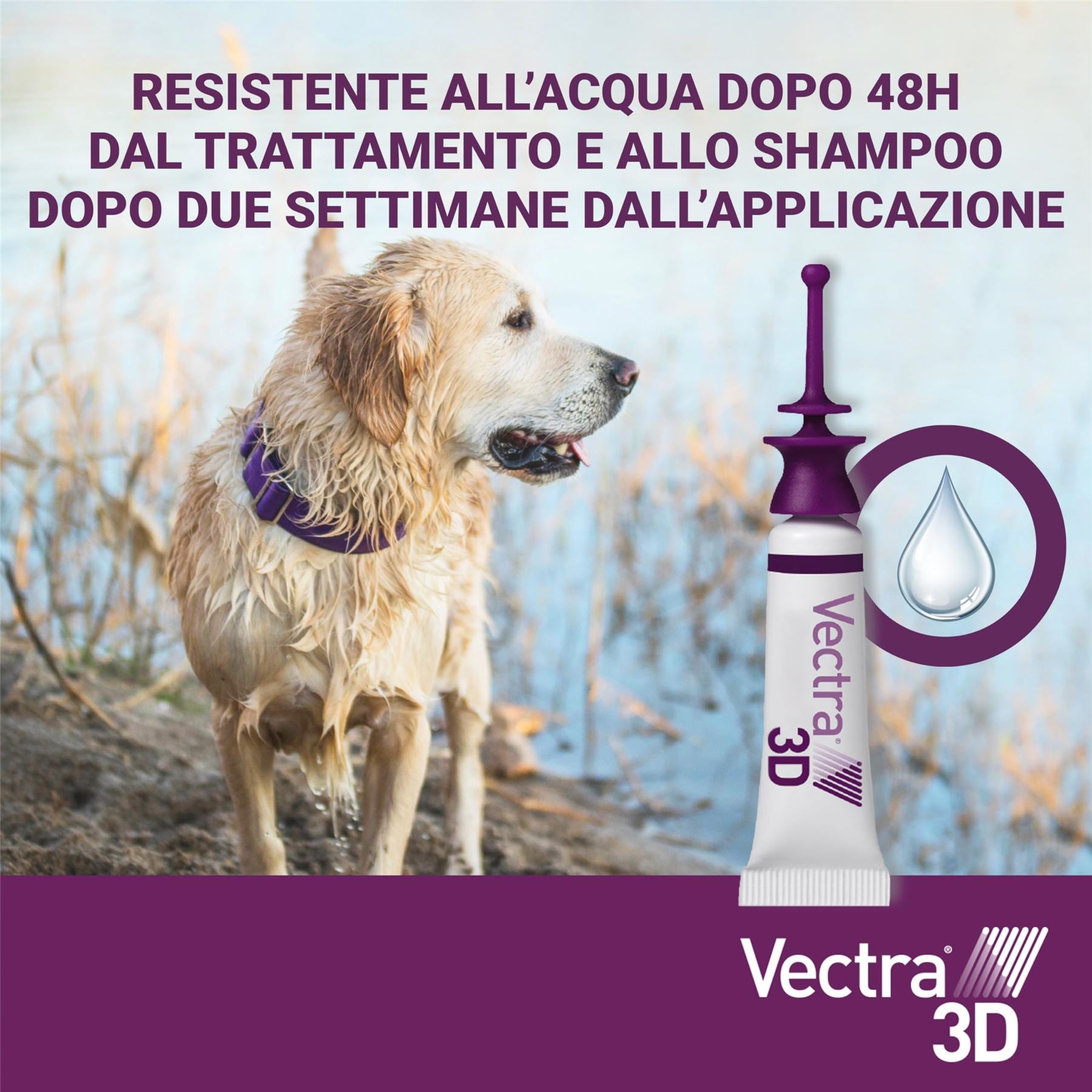Vectra 3D Spot on Solution Flea, Ticks and Mosquito Repellent For Dogs, 3 Pipettes