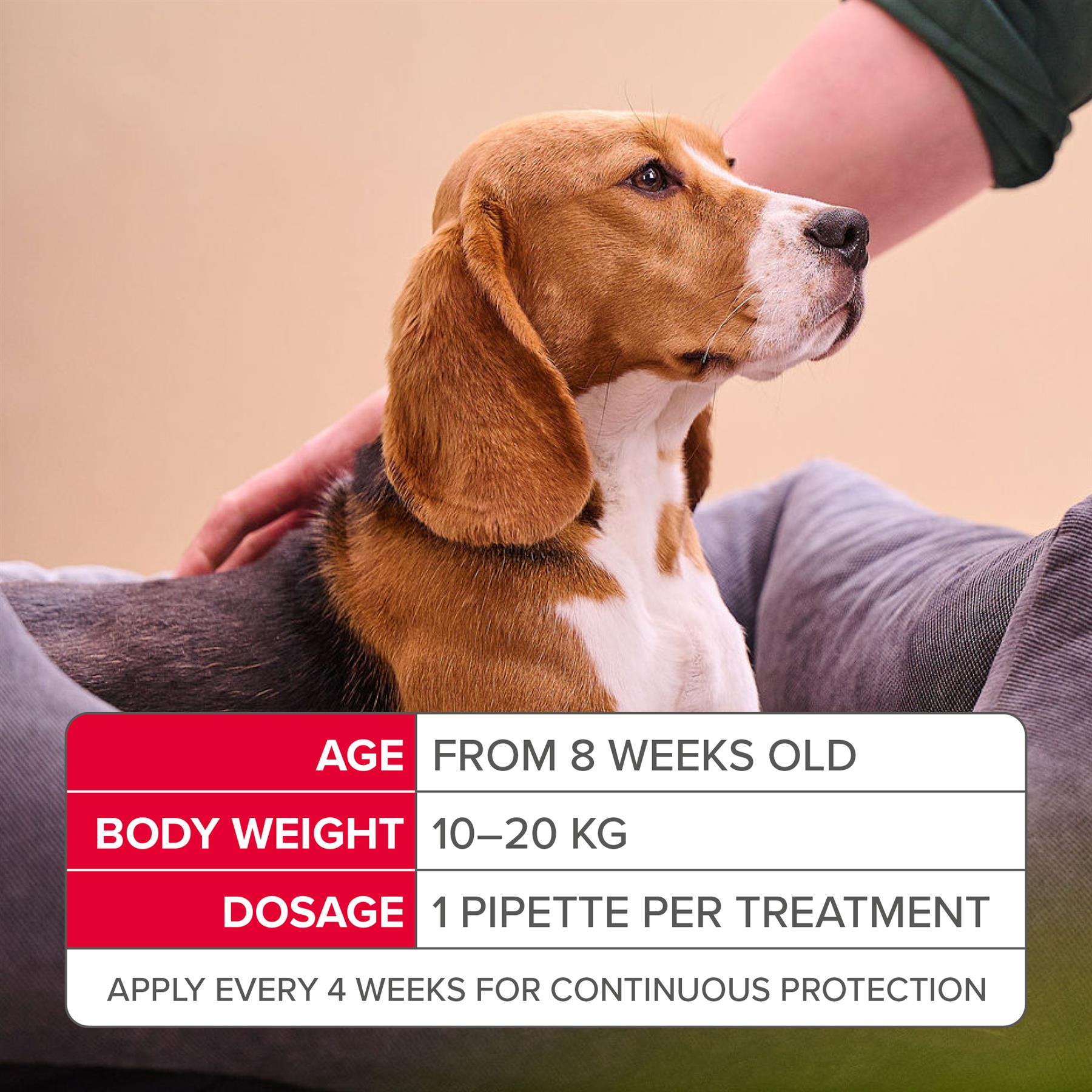 Beaphar FIPROtec COMBO Flea & Tick Spot-On for Medium Dogs (10-20kg), 1, 3, 6 Pipette