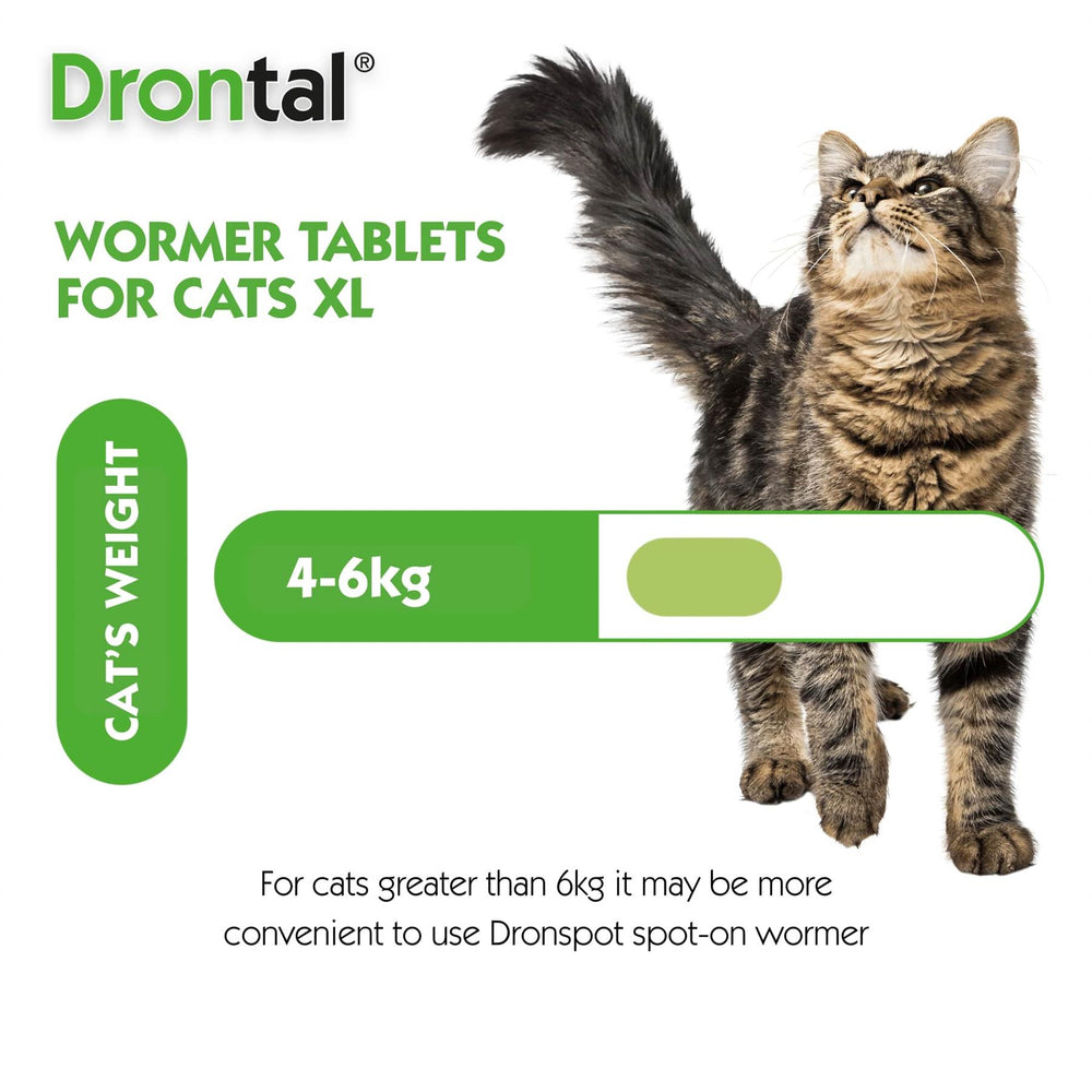 Drontal Wormer XL Tablets for Large Cats (Over 4kg)