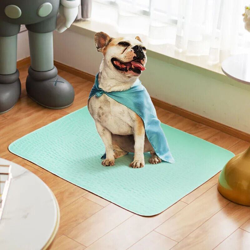 LARGE Puppy Training Trainer Pads Toilet Pee Wee Poo Dog Pet Cat Mats Anti Slip