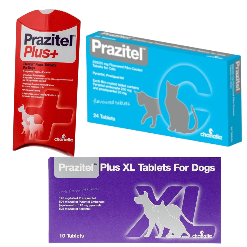 Prazitel Worming Tablets for Cats and Dogs