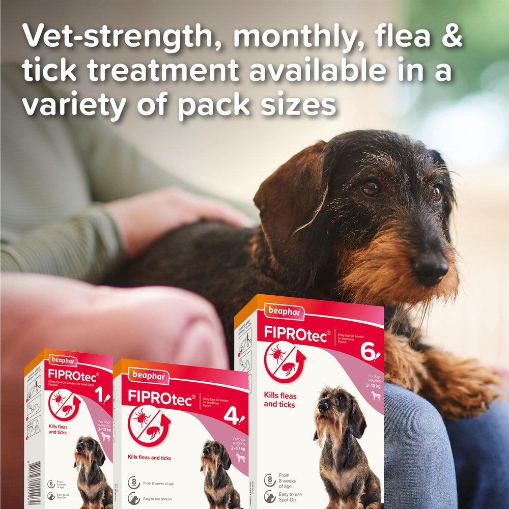 Beaphar FIPROtec Flea & Tick Spot-On Treatment for Small Dogs (2-10kg), 1, 4, 6