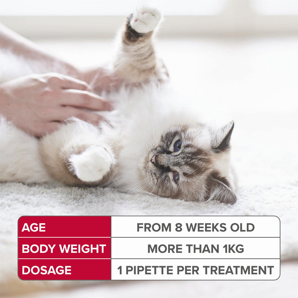 Beaphar FIPROtec Spot-On Flea & Tick Treatment for Cats, 1, 4, 6 Pipettes