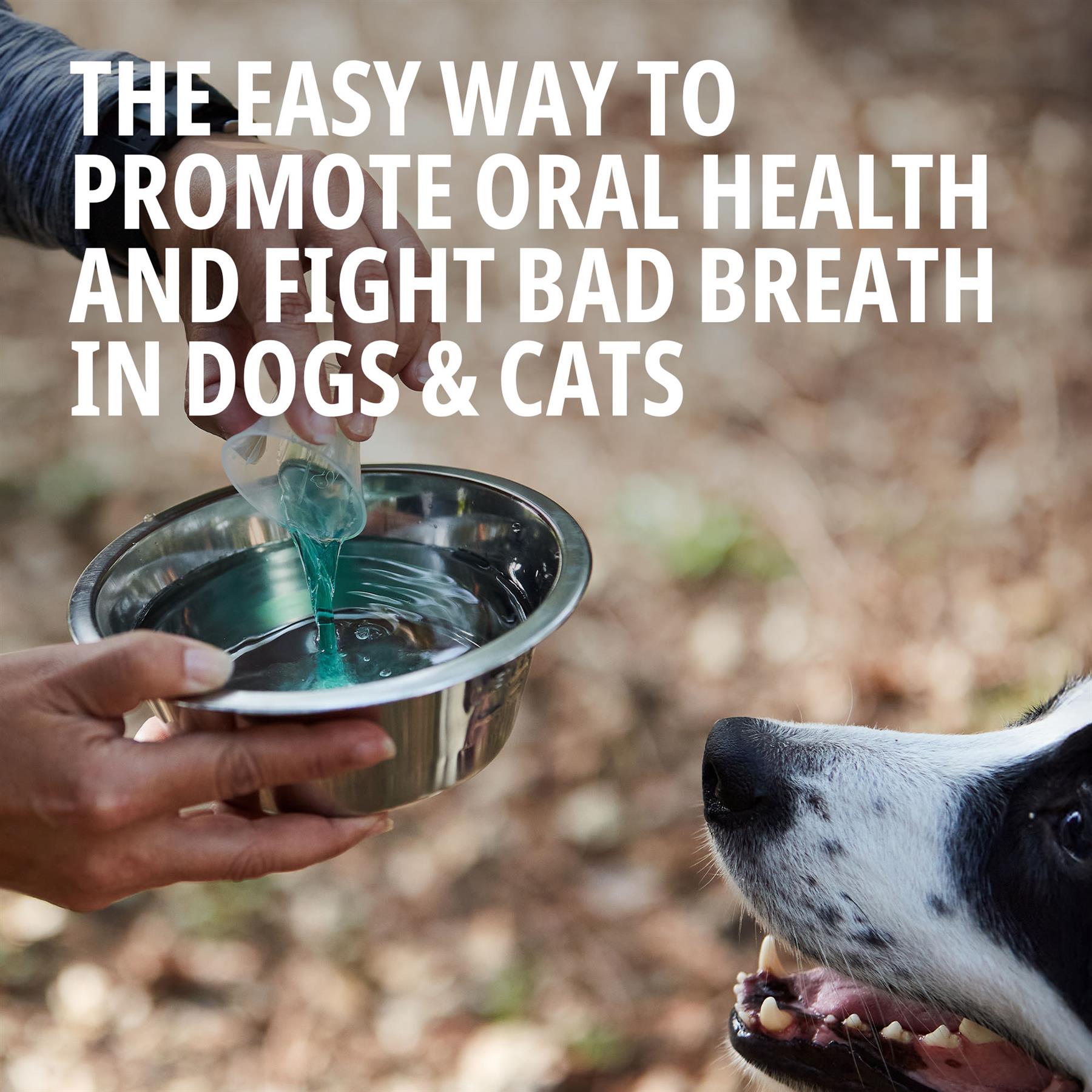 Virbac Vet Aquadent Anti-Plaque Solution for Cat and Dog, Pet Dental Care Solution