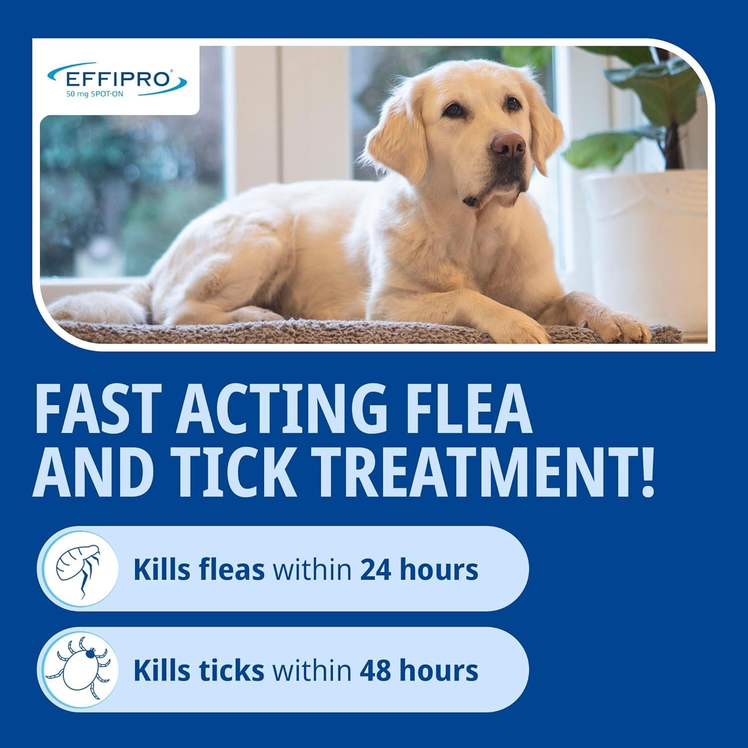 Effipro Spot On Flea Treatment AVM-GSL For Pets Cats & Dogs 4 Pipettes With Fipronil