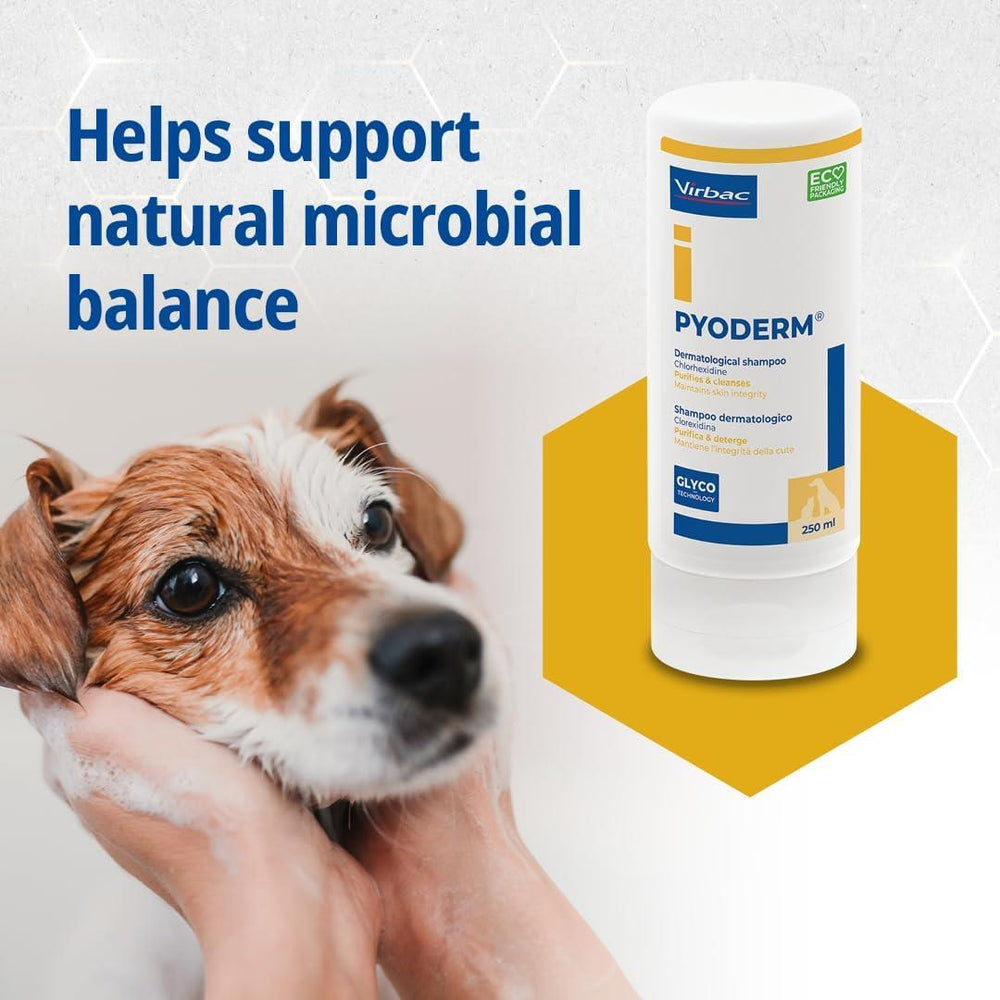 Pyoderm Dermatological Shampoo 250ML for Skin with Microbial Imbalance for Dogs and