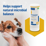 Pyoderm Dermatological Shampoo 250ML for Skin with Microbial Imbalance for Dogs and
