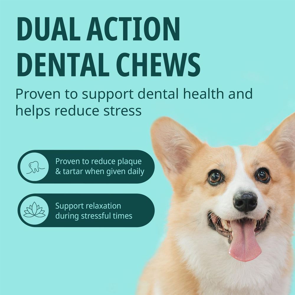 Virbac Veggiedent Zen 15 Dental Oral Care Dog Chews + Calming Anxiety Relief XS S M L