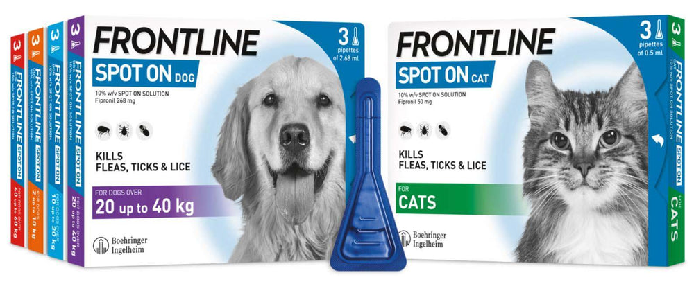 FRONTLINE SPOT ON Flea & Tick Treatment for Cat, Small, Medium and Large Dog 1, 3, 6